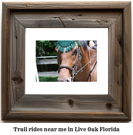 trail rides near me in Live Oak, Florida